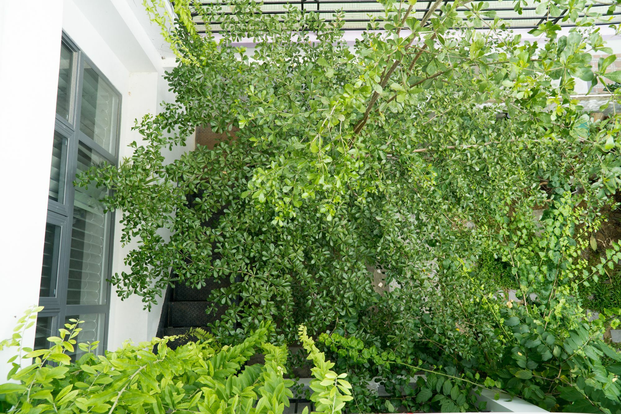 Kiu House - 3Br - Green & Artistic Đà Nẵng Ngoại thất bức ảnh
